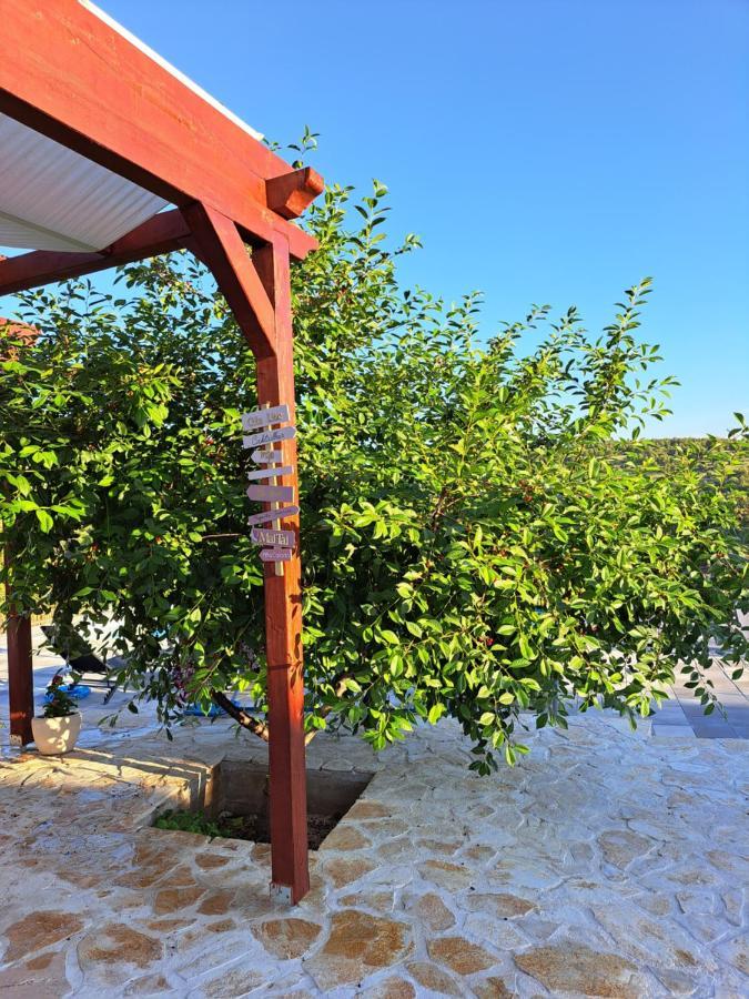 Guest House "The View" - With A Pool Donje Polje ภายนอก รูปภาพ